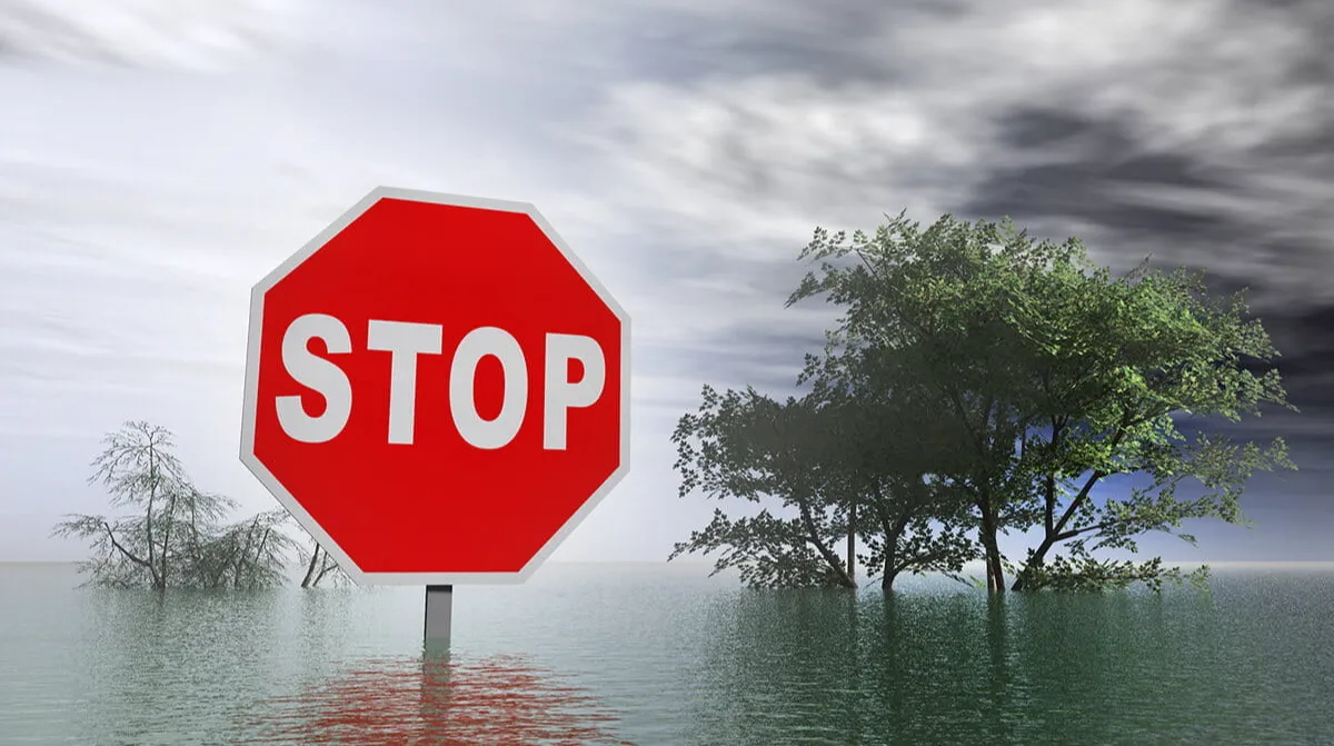 Understanding Medicare Special Enrollment Periods in Arkansas Understanding Medicare Special Enrollment Periods in Arkansas